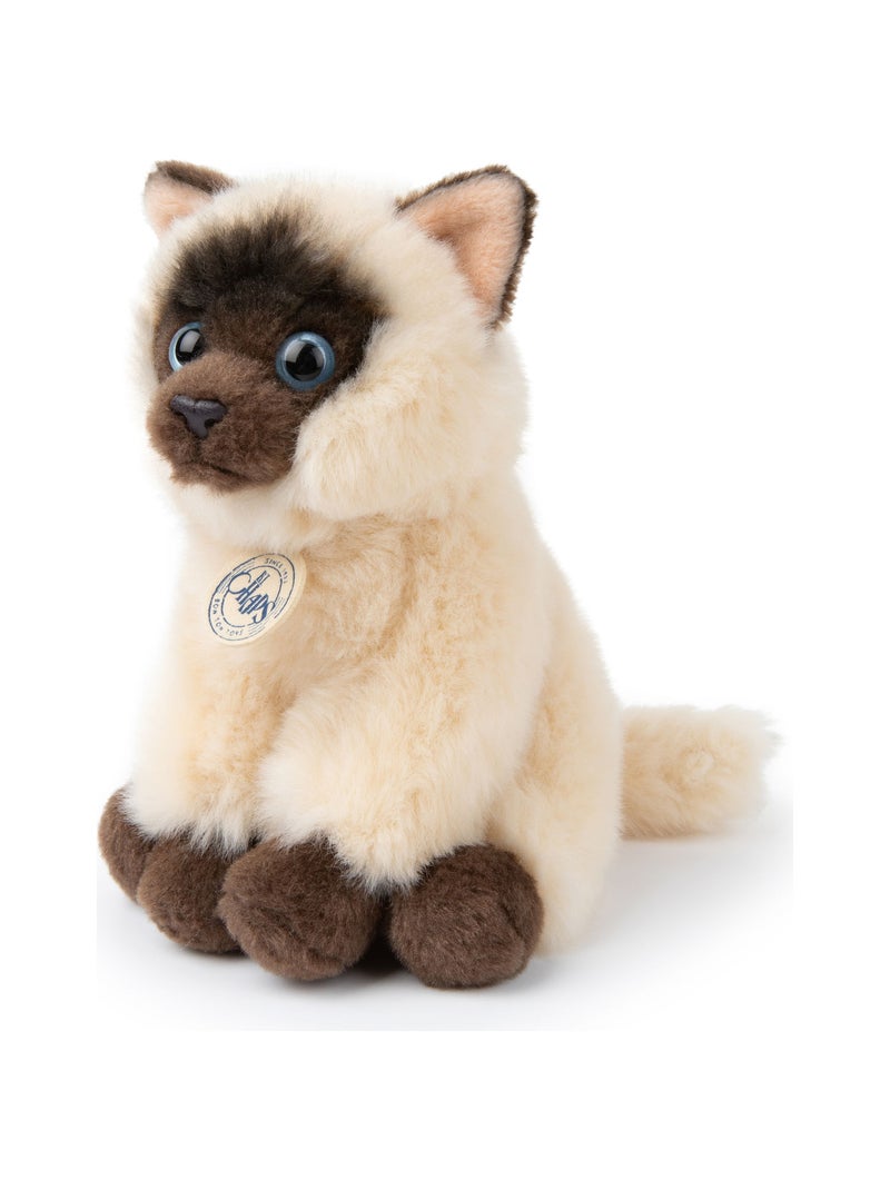 BT Chaps - Peluche Beige - Kiabi