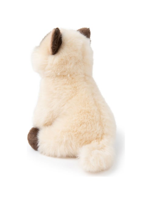 BT Chaps - Peluche - Kiabi