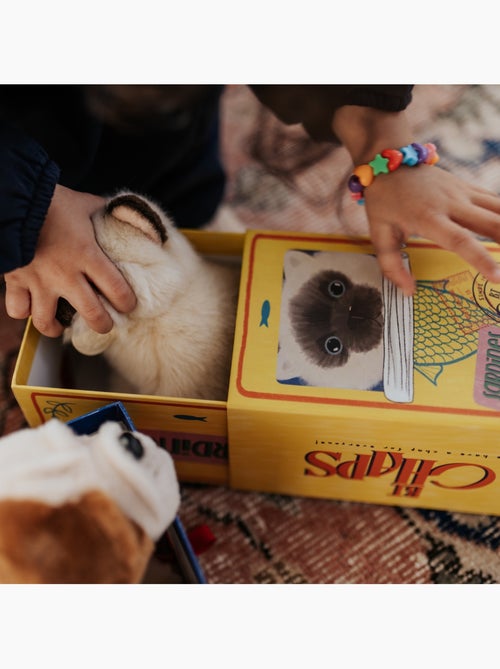 BT Chaps - Peluche - Kiabi