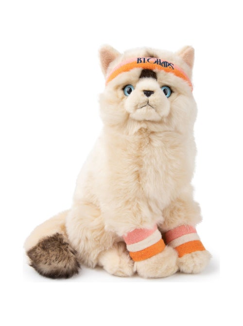 BT Chaps - Peluche - Kiabi