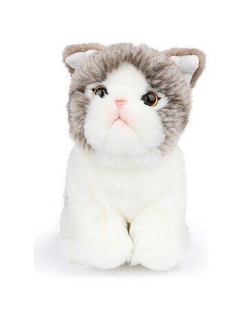 Bt chaps - peluche