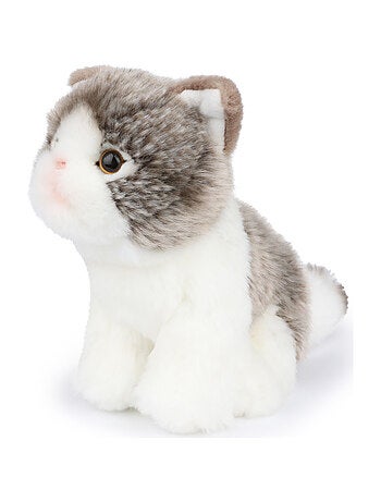 Bt chaps - peluche