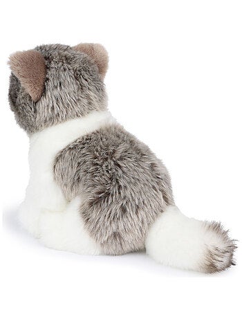 Bt chaps - peluche