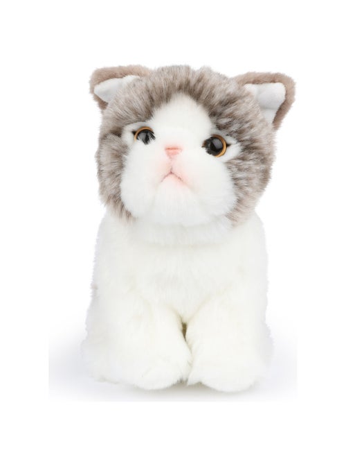 BT Chaps - Peluche - Kiabi