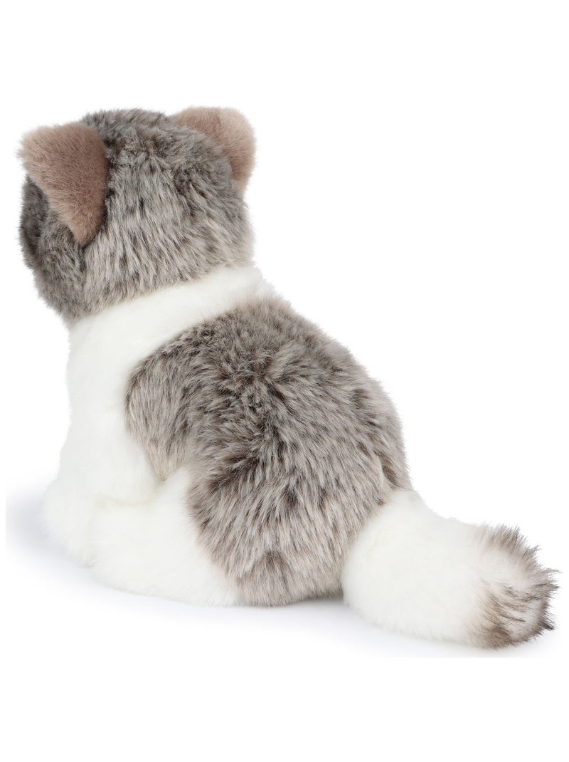BT Chaps - Peluche Gris - Kiabi