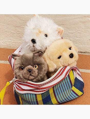 Bt chaps - peluche