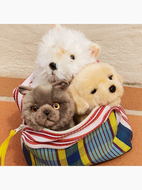 BT Chaps - Peluche - Kiabi