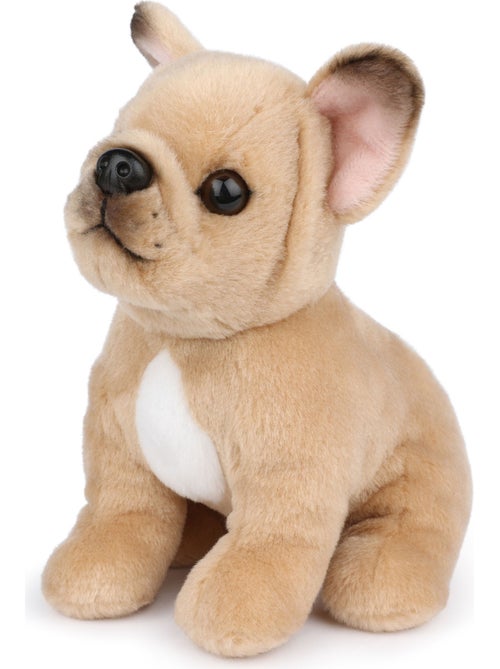 Bt chaps - peluche - Kiabi