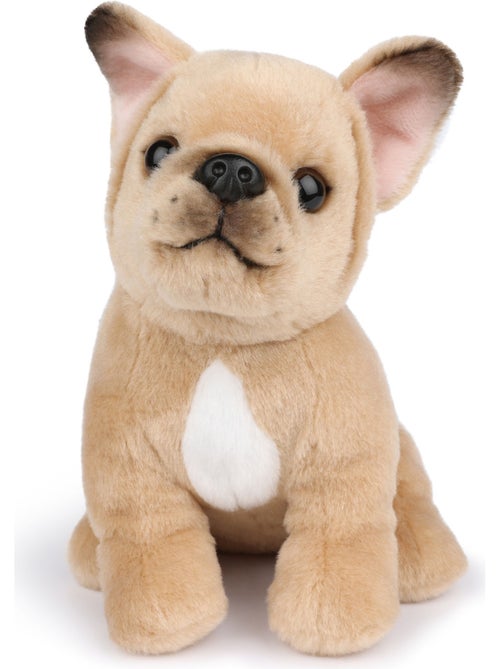 Bt chaps - peluche - Kiabi