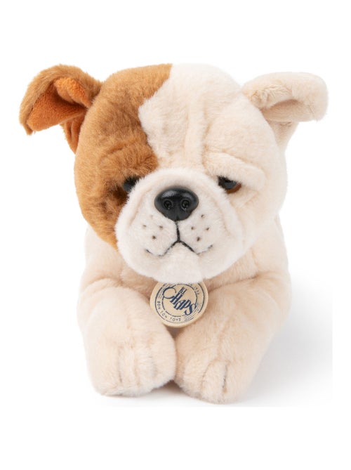 BT Chaps - Peluche - Kiabi