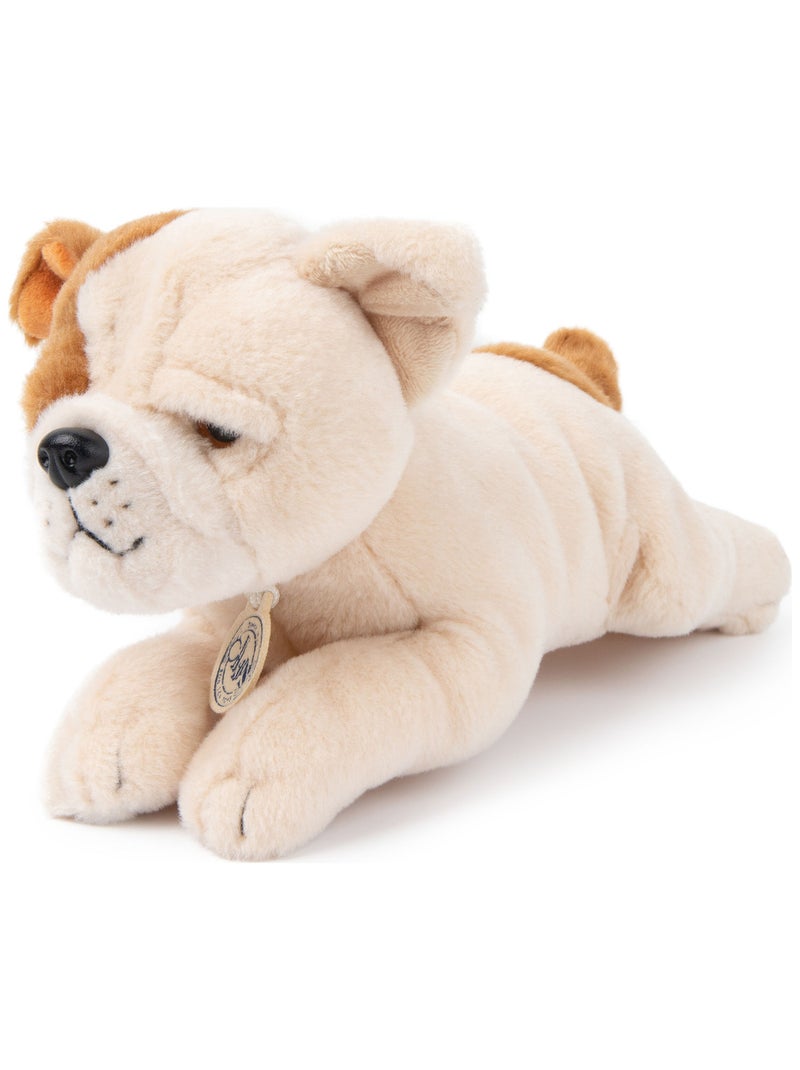 BT Chaps - Peluche Marron - Kiabi