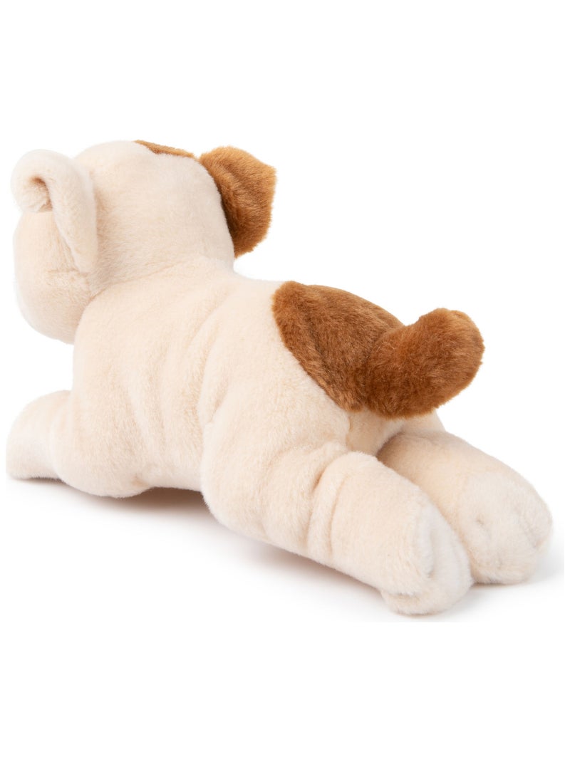 BT Chaps - Peluche Marron - Kiabi