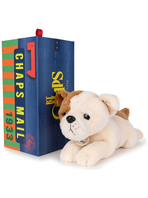 BT Chaps - Peluche - Kiabi