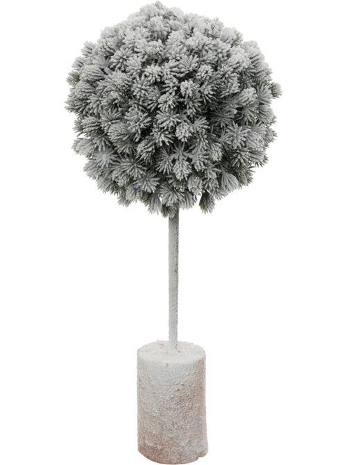 BUIS ENNEIGE H35 - Kiabi