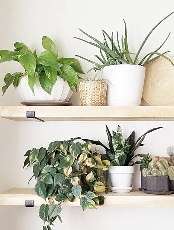 BUSSA - Étagère murale en bois d'épicéa et métal - 2 rangements - bois et noir