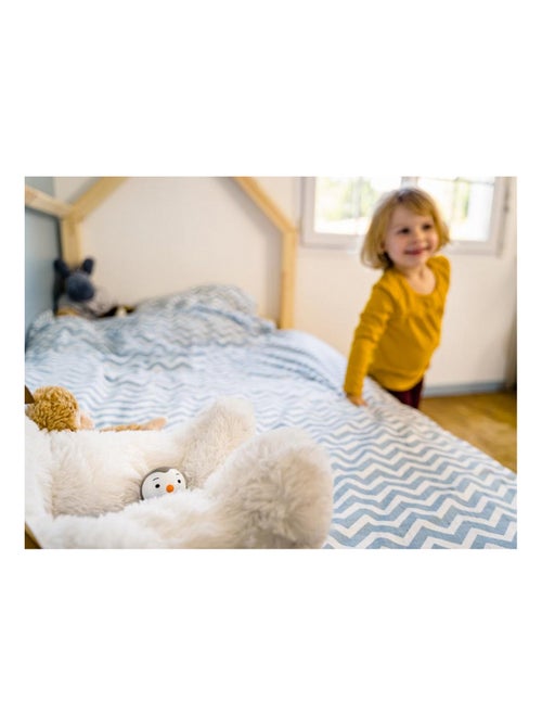 Cache Cache T'choupi - Kiabi