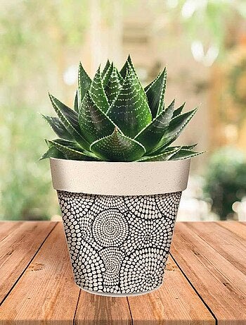 Cache pot cercles à pois en bambou