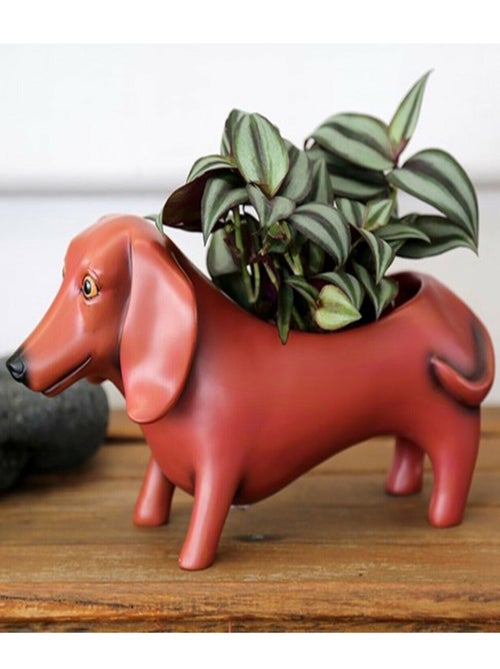 Cache pot chien - Kiabi