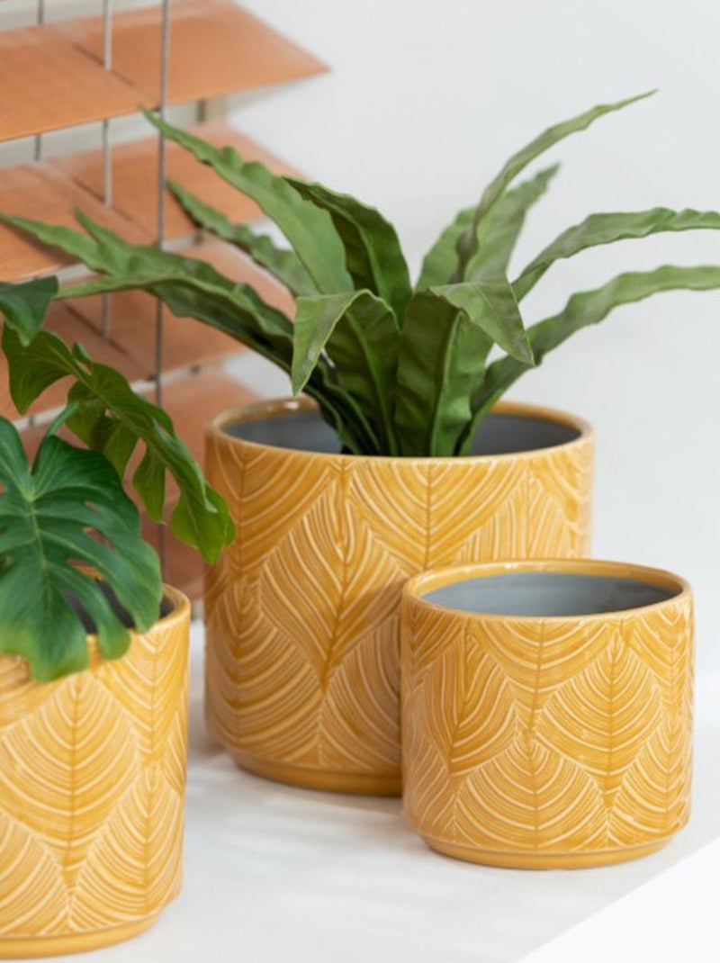 Cache pot de fleur charmille Jaune - Kiabi