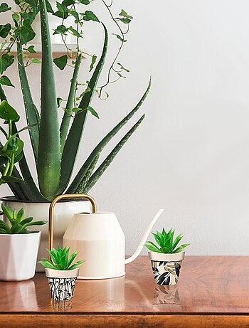 Cache pot de fleurs feuillage en bambou