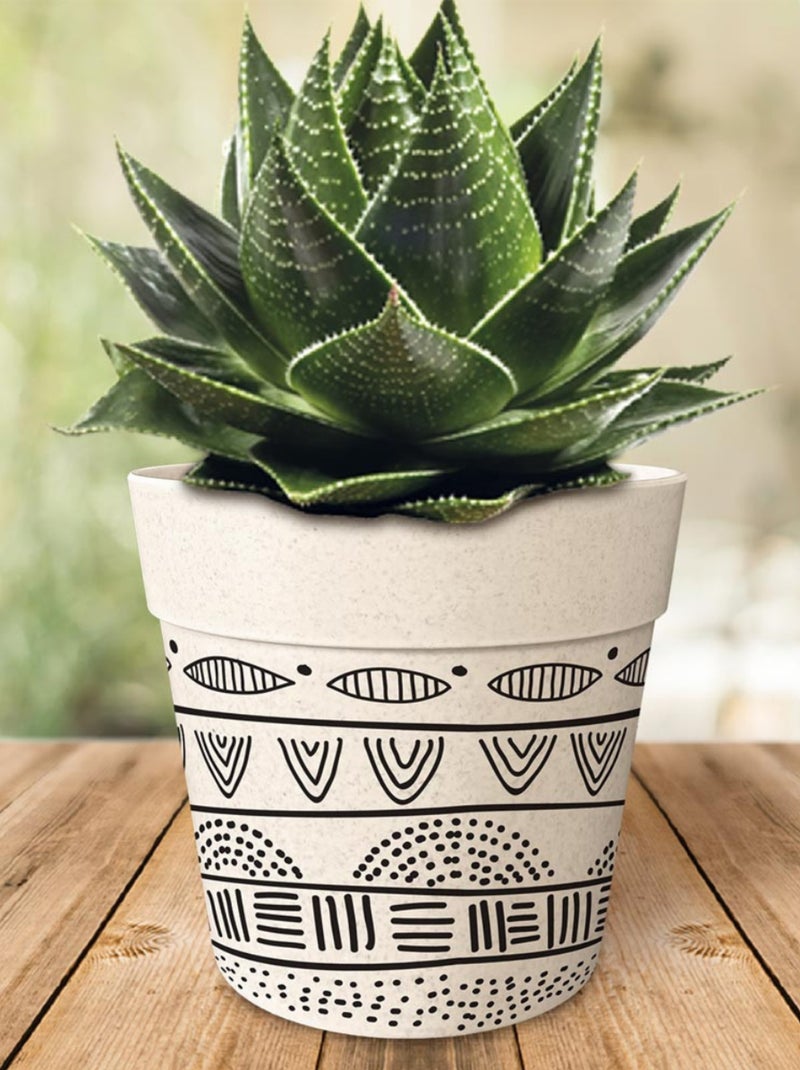 Cache pot en bambou Beige - Kiabi