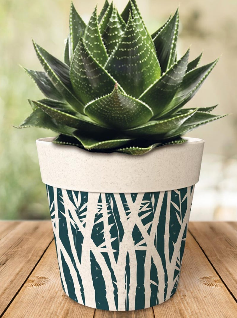 Cache pot en bambou Vert - Kiabi