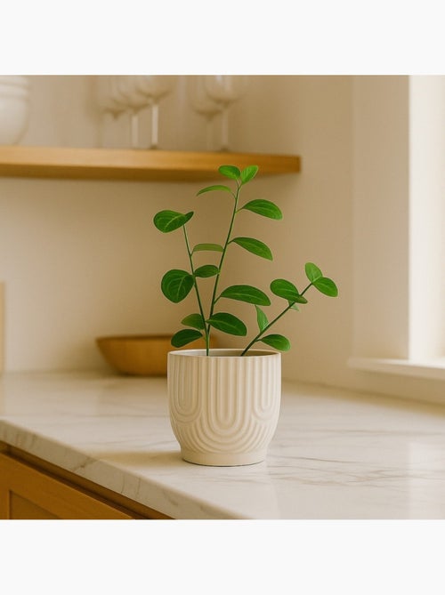 Cache-pot en céramique beige 13cm - Kiabi Cache-pot en céramique beige 13cm - Kiabi
