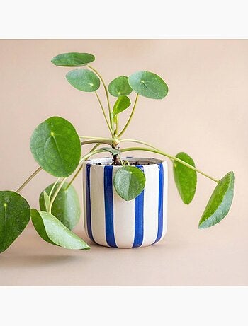 Cache pot en céramique rayé bleu / blanc 9cm