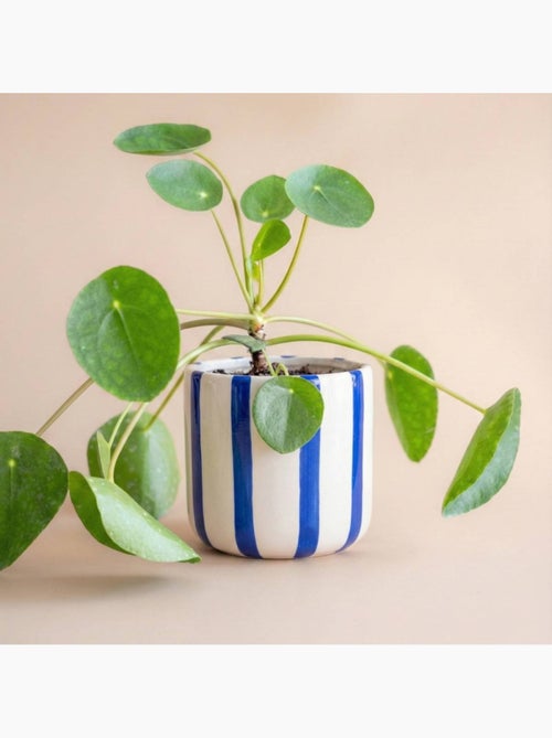 Cache pot en céramique rayé bleu / blanc 9cm - Kiabi Cache pot en céramique rayé bleu / blanc 9cm - Kiabi