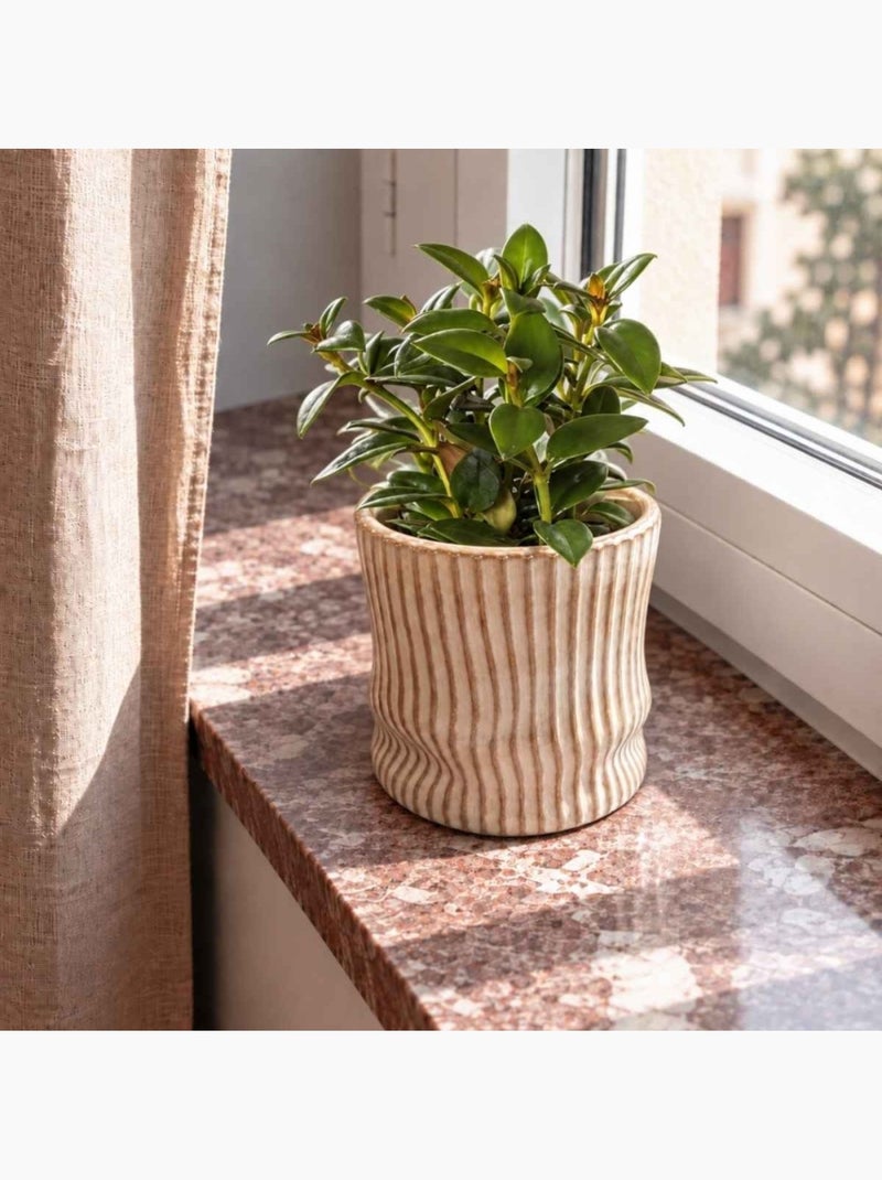 Cache-pot en céramique striée marron 13cm Marron - Kiabi