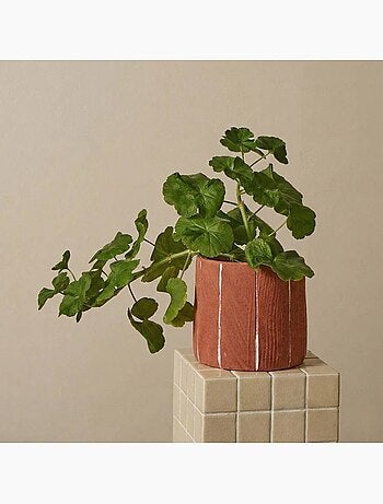 Cache-pot en ciment terracotta lignes blanches 15cm