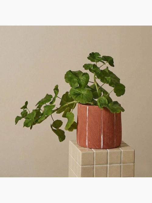 Cache-pot en ciment terracotta lignes blanches 15cm - Kiabi