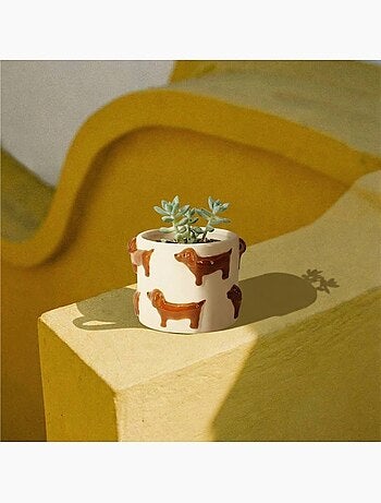 Cache-pot en dolomite teckels en relief 14cm