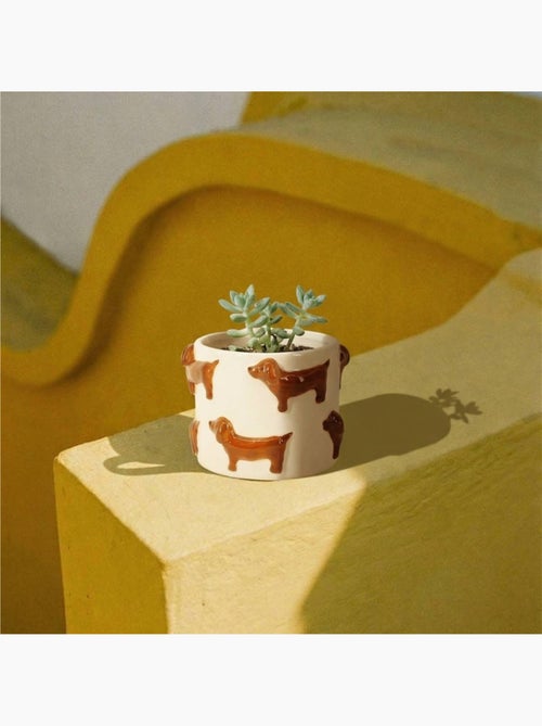 Cache-pot en dolomite teckels en relief 14cm - Kiabi