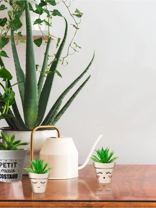 Cache pot petit mais costaud en bambou - Kiabi