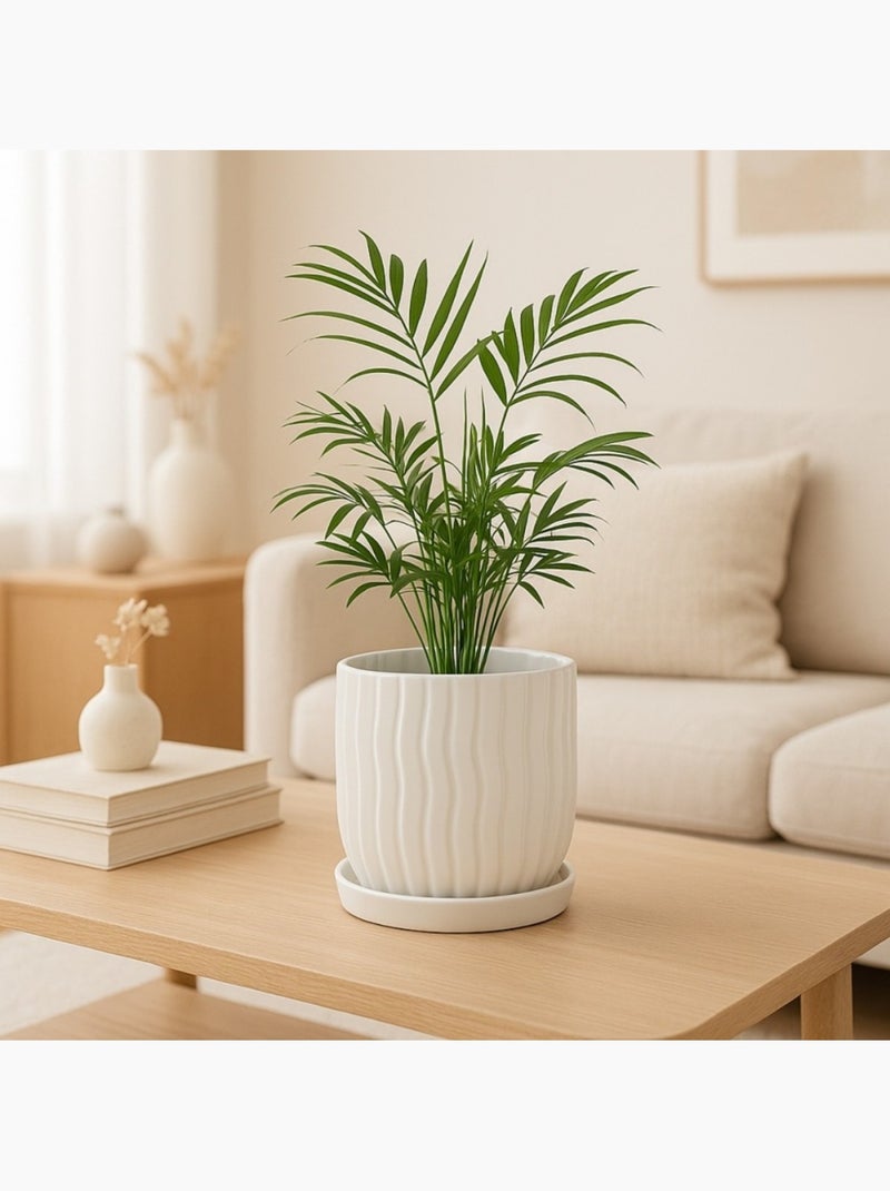 Cache-pot strié beige 20cm avec plateau Beige - Kiabi