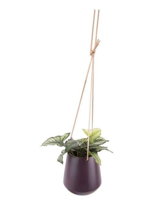 Cache-pot suspendu SKITTLIE - Kiabi