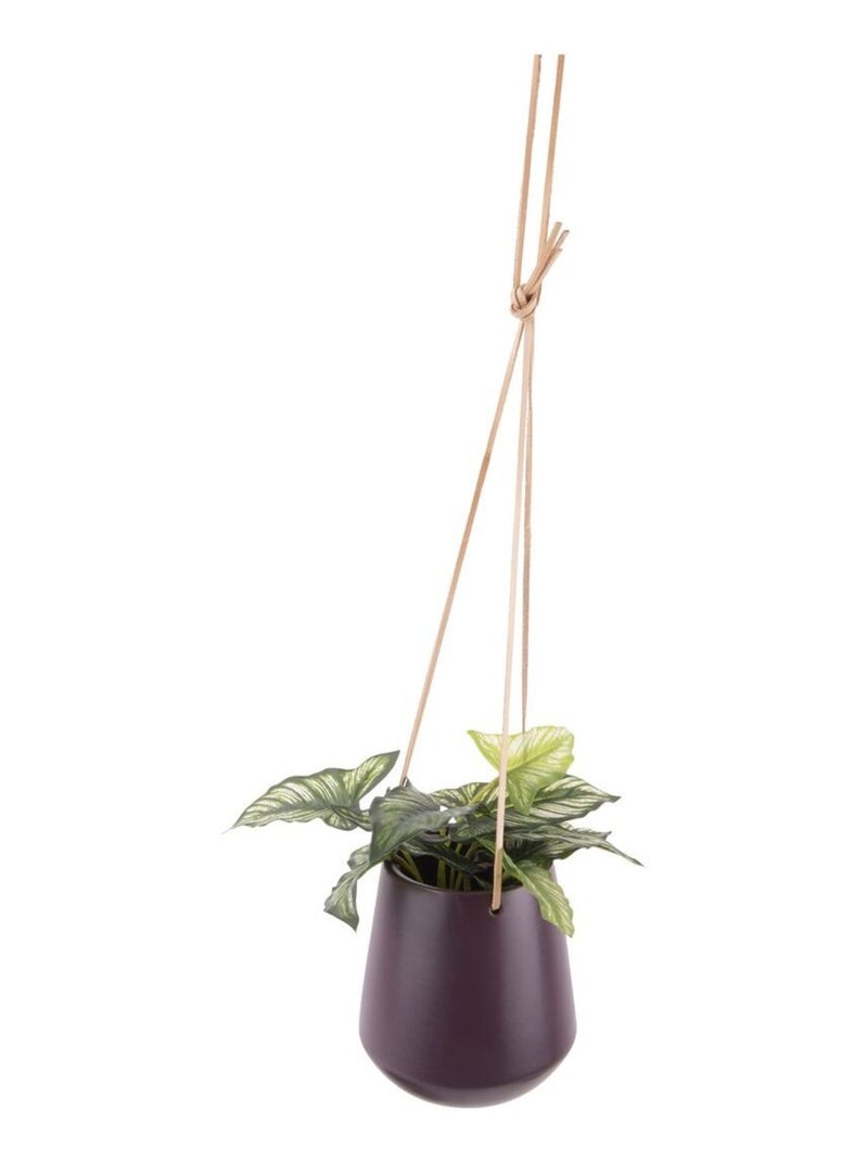 Cache-pot suspendu SKITTLIE Violet - Kiabi