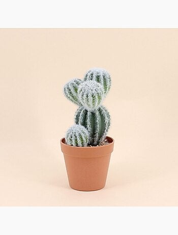 Cactus artificiel 26cm