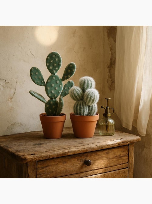 Cactus artificiel 26cm - Kiabi