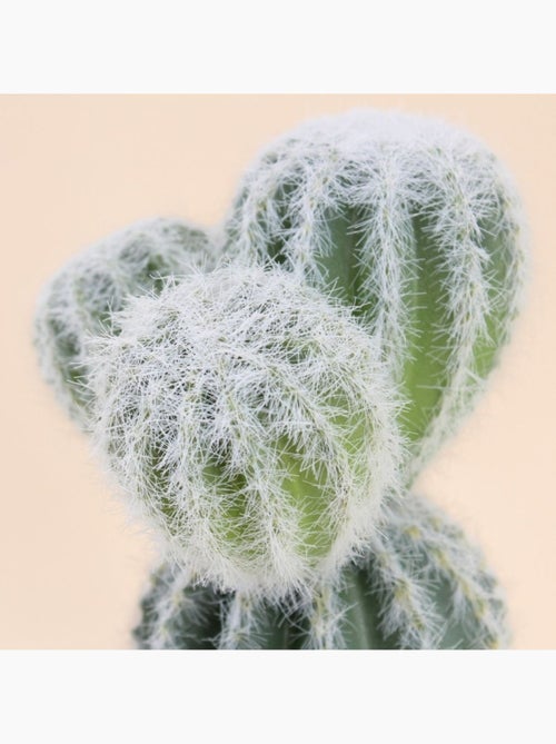 Cactus artificiel 26cm - Kiabi
