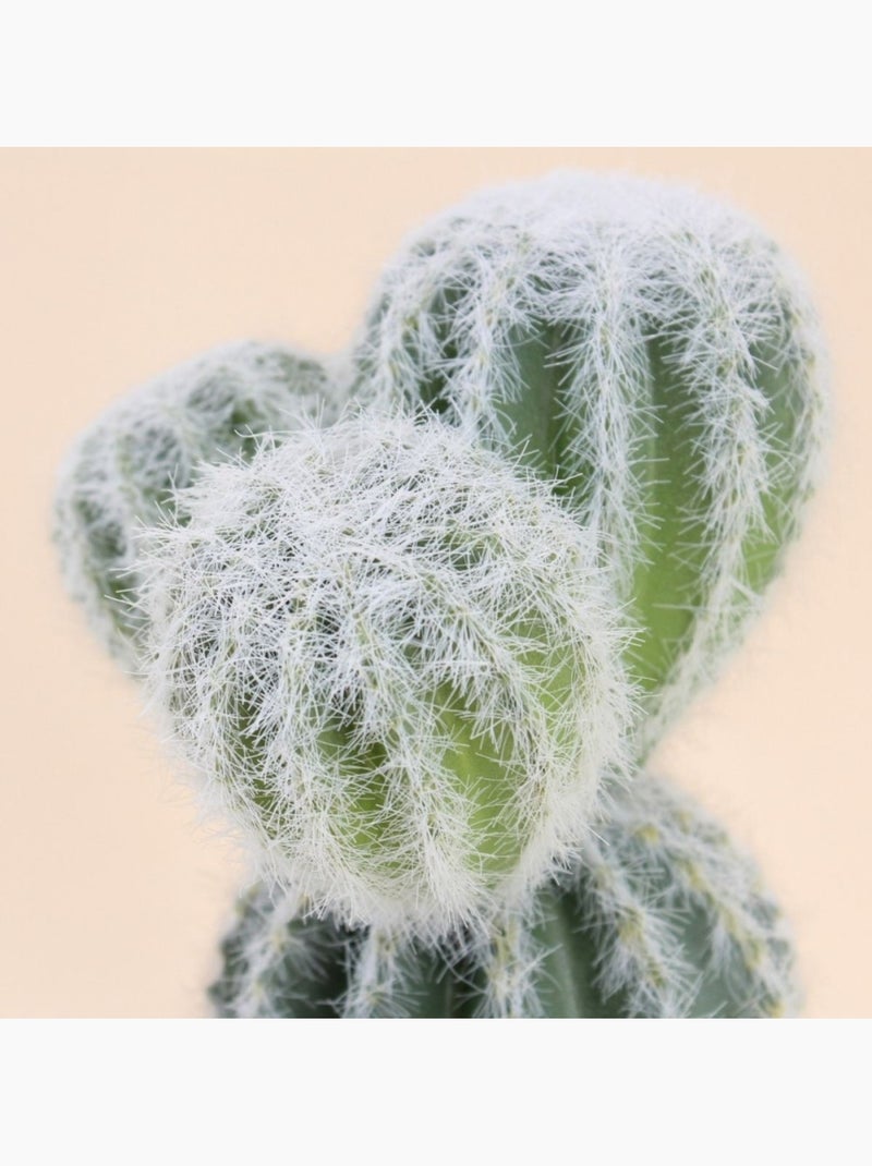 Cactus artificiel 26cm Vert - Kiabi