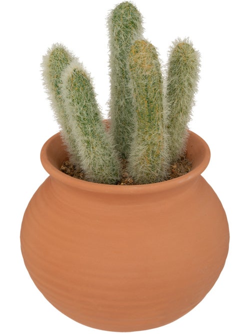 Cactus artificiel ALICANTE - Kiabi
