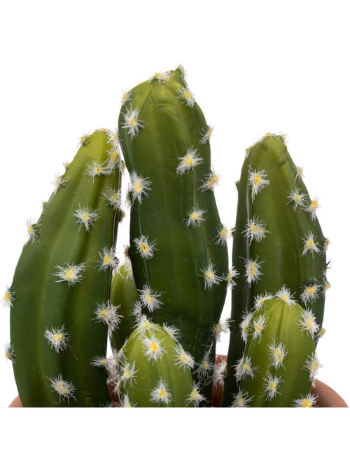 Cactus artificiel ALICANTE - Kiabi