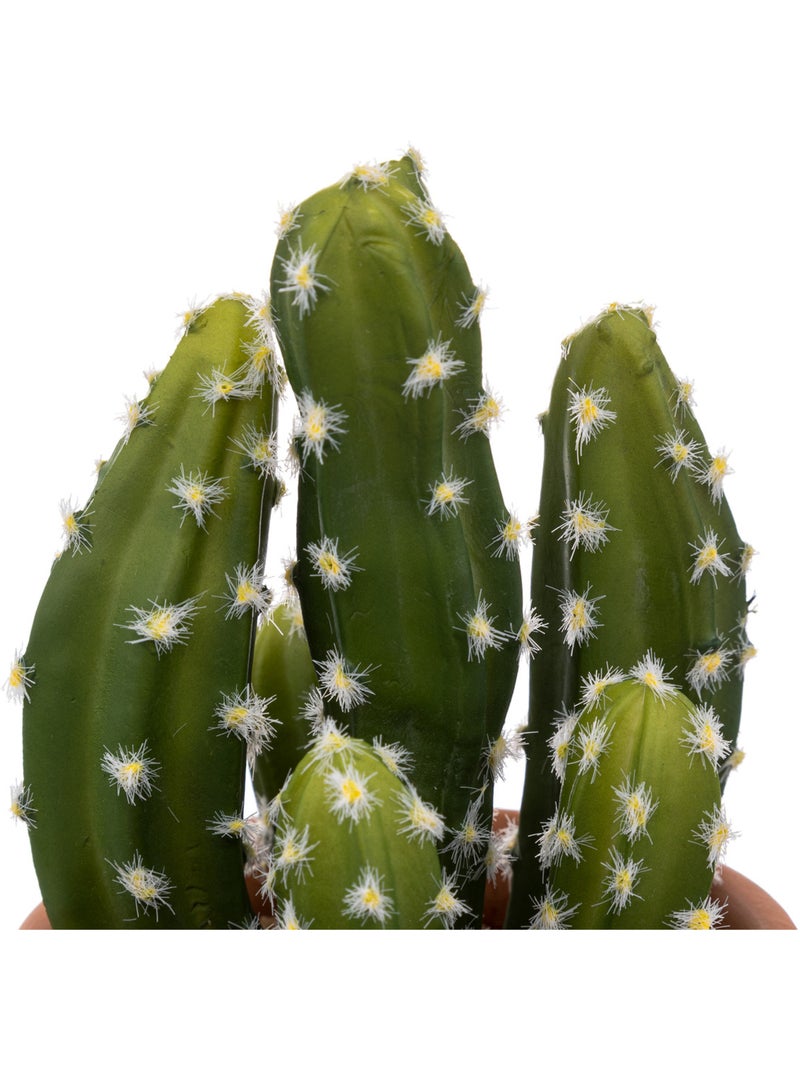 Cactus artificiel ALICANTE Blanc - Kiabi