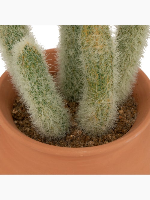 Cactus artificiel ALICANTE - Kiabi