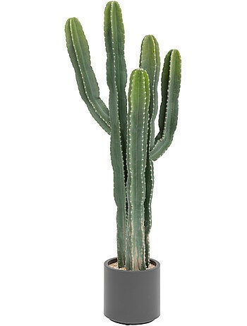 Cactus artificiel avec pot