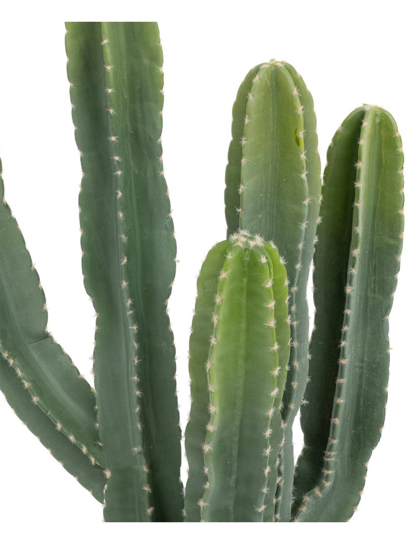 Cactus artificiel avec pot Vert - Kiabi