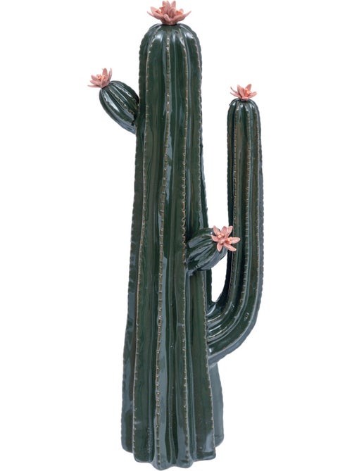 Cactus déco, céramique EXOTIC PANAMA - Kiabi