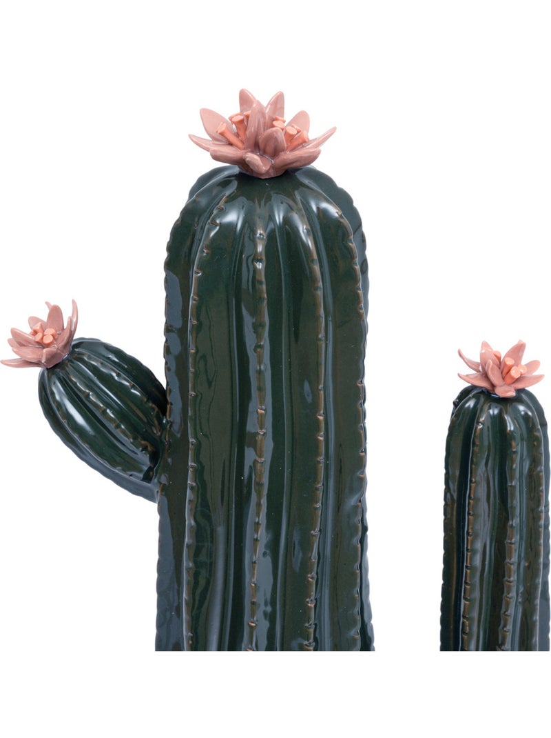 Cactus déco, céramique EXOTIC PANAMA Vert - Kiabi